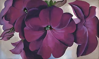 Petunias Georgia O'Keeffe